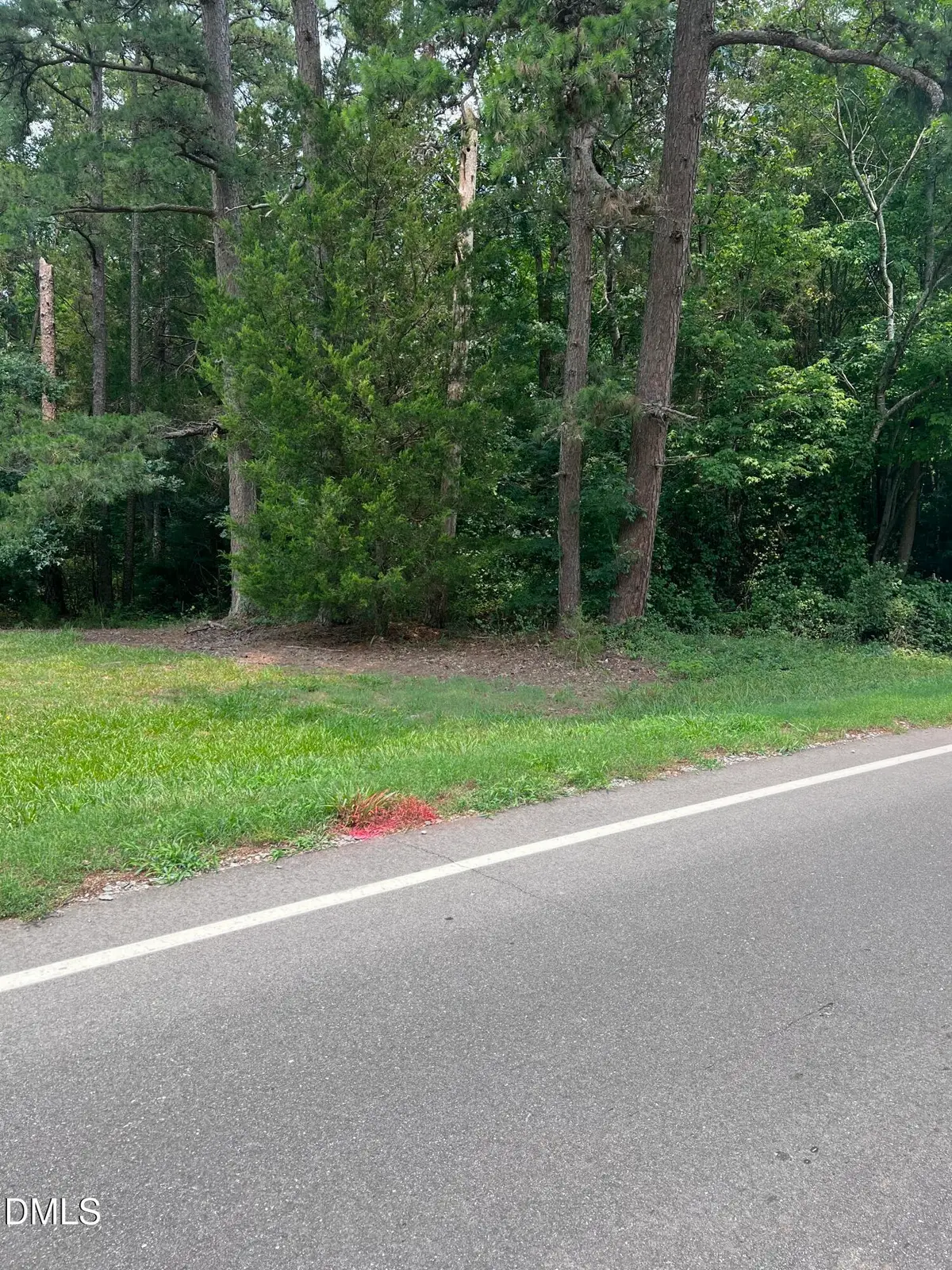 Lot 1 Elmer Moore Road, Siler City, NC 27344 - #1
