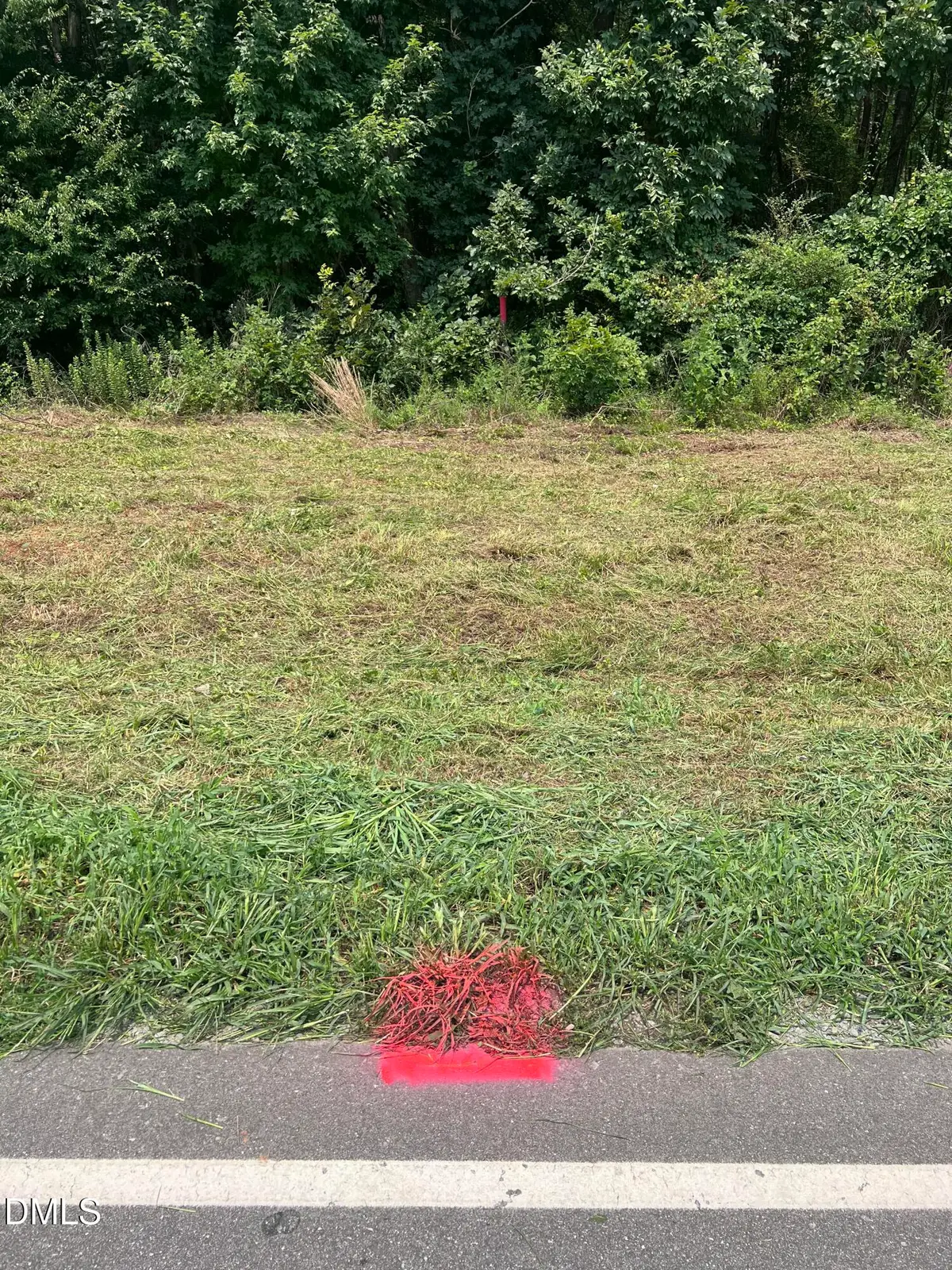Lot 3 Elmer Moore Road, Siler City, NC 27344 - #1