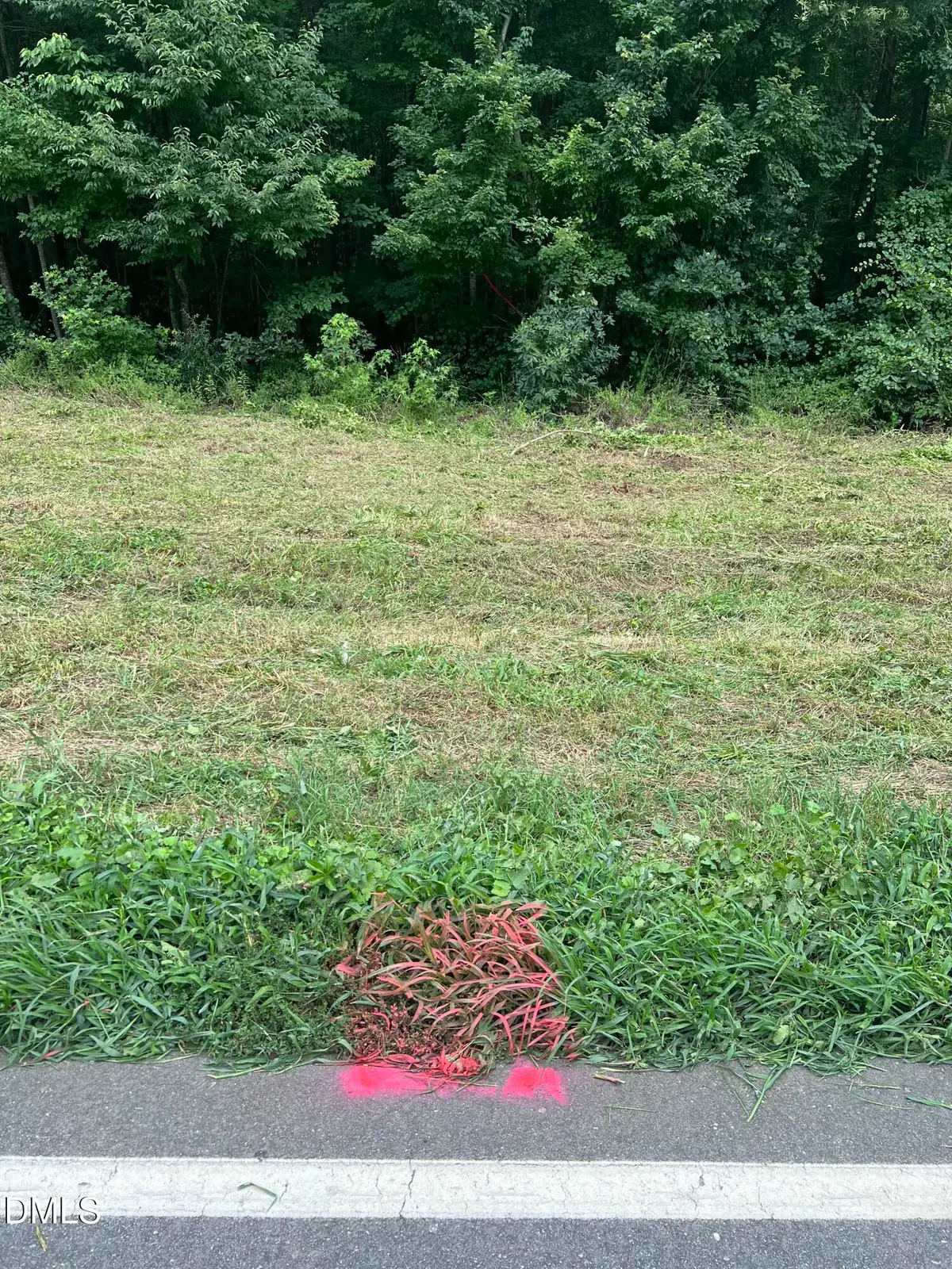 Lot 4 Elmer Moore Road, Siler City, NC 27344 - #1