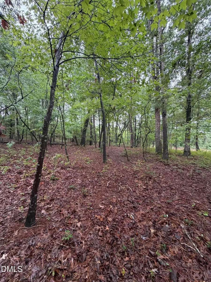 Lot 5 Claude Lewis Road, Middlesex, NC 27557 - #3