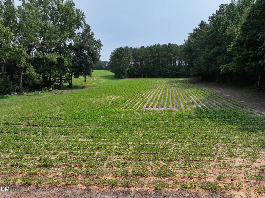 Lot 4 Claude Lewis Road, Middlesex, NC 27557 - #2