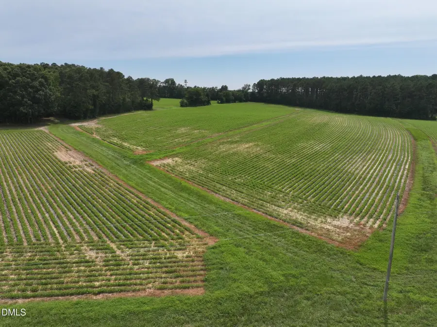 Lot 3 Claude Lewis Road, Middlesex, NC 27557 - #3