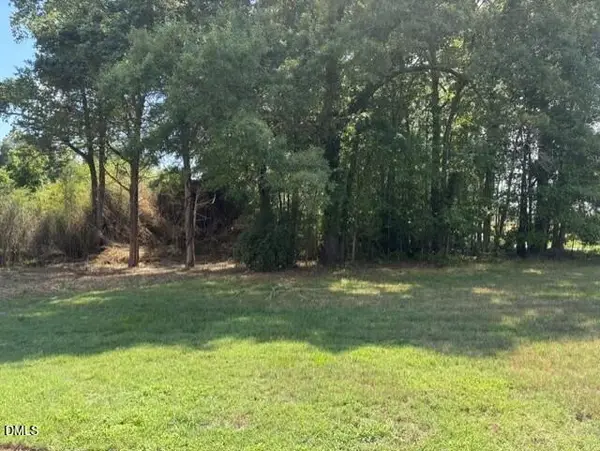 211 Colonial Avenue, Goldston, NC 27252