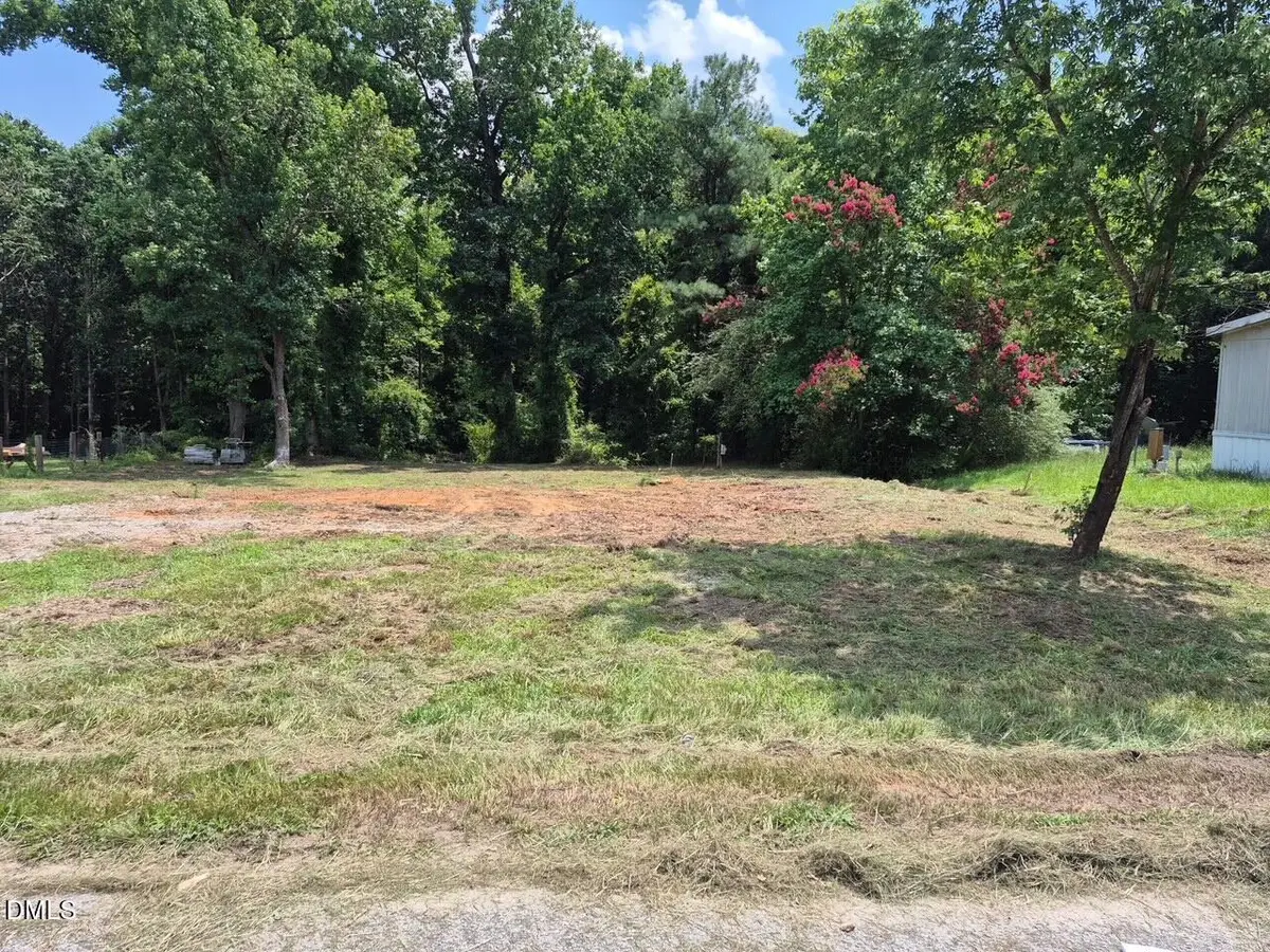 316 Morehead Drive, Willow Spring, NC 27592 - #1