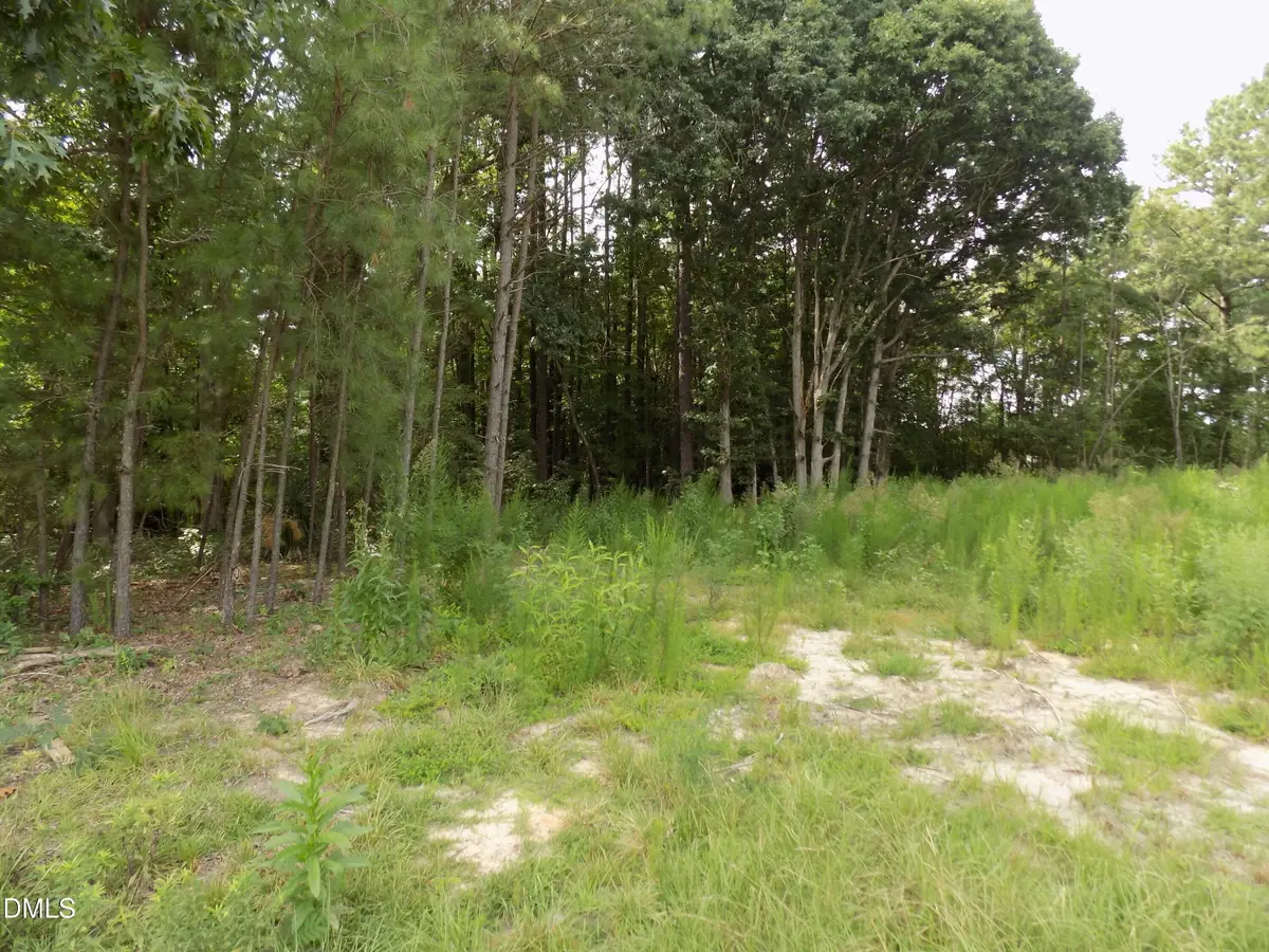 4009 Us 401, Louisburg, NC 27549 - #1