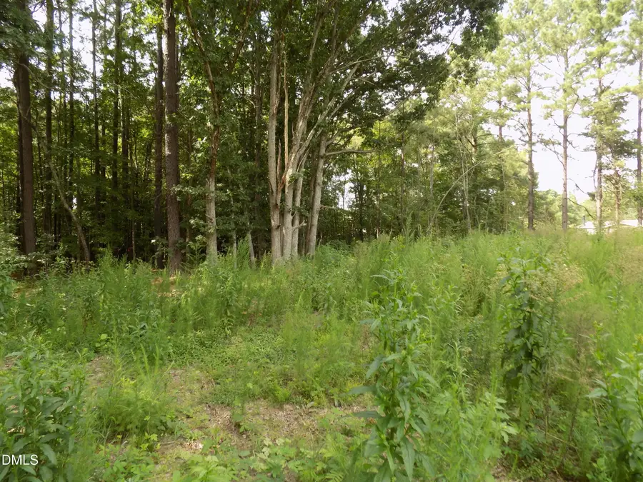 4009 Us 401, Louisburg, NC 27549 - #2