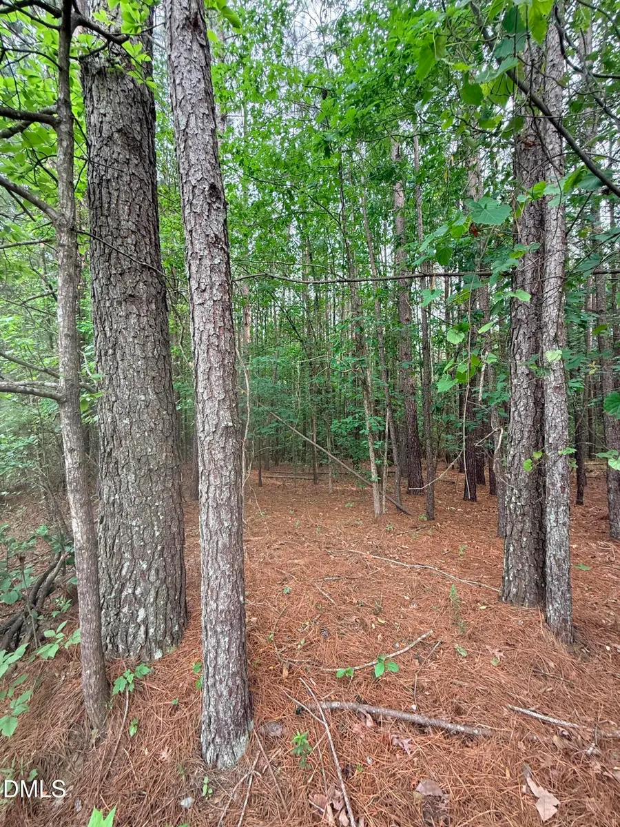 104 Amsterdam Drive, Clayton, NC 27527 - #2