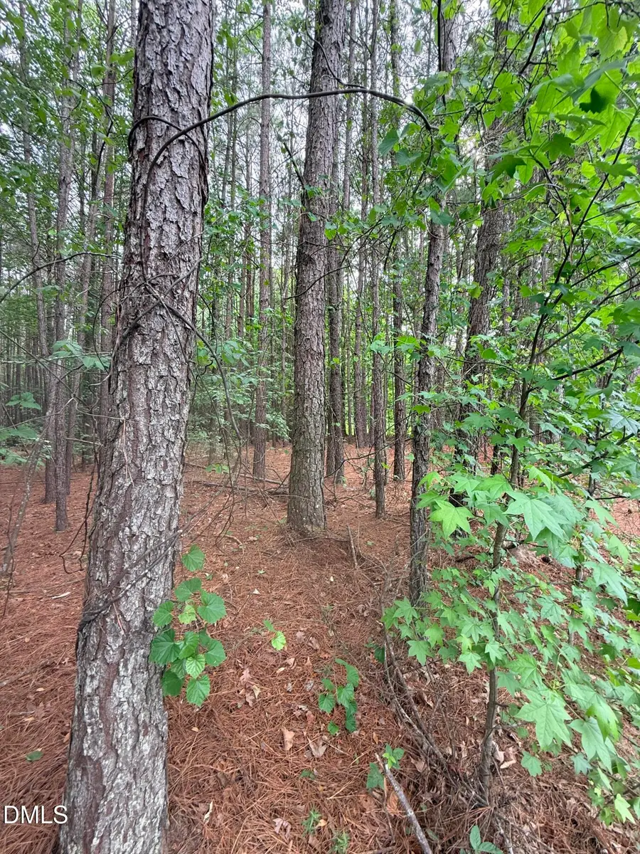 104 Amsterdam Drive, Clayton, NC 27527 - #3