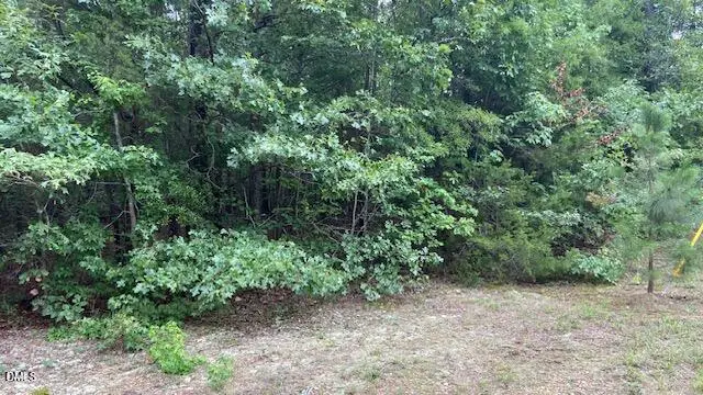0 Coe Street, Timberlake, NC 27583 - #2