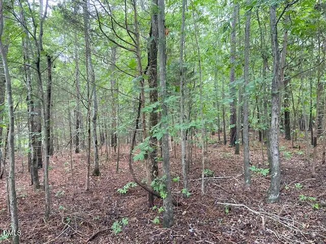 0 Coe Street, Timberlake, NC 27583 - #3