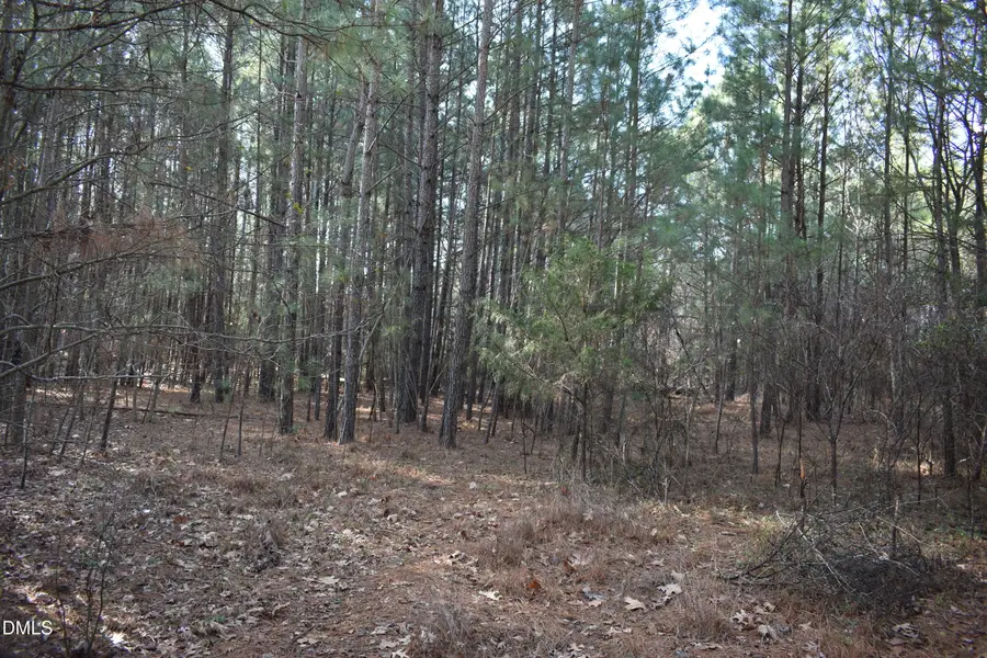 806 Carpenter Fletcher Road, Durham, NC 27713 - #2