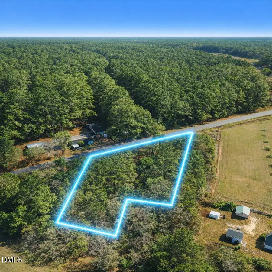 0 Otis Donnell Nixon Road, Evergreen, NC 28438 - #3