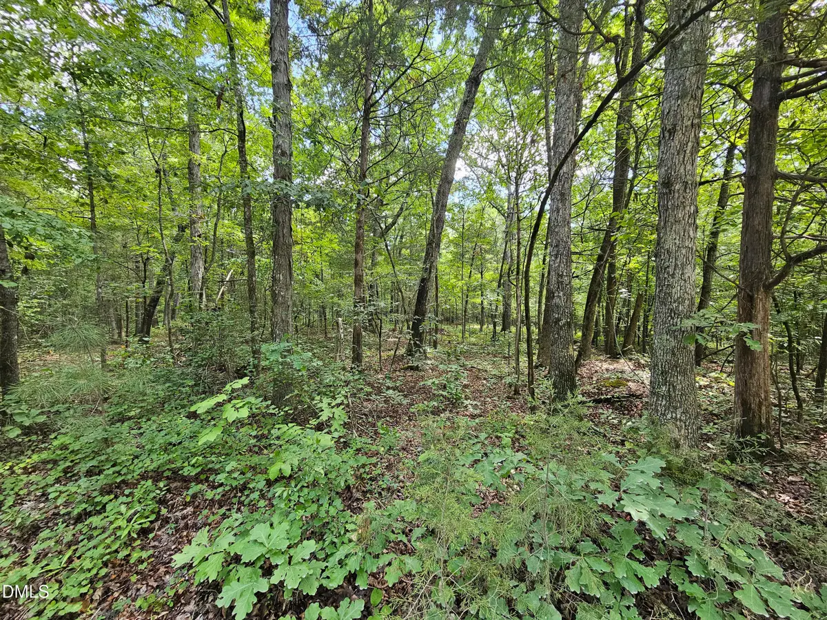 625 Harts Creek Drive, Pittsboro, NC 27312 - #1