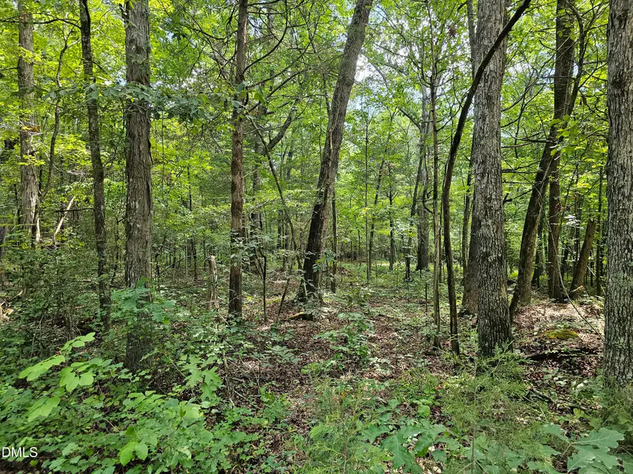 625 Harts Creek Drive, Pittsboro, NC 27312 - #2
