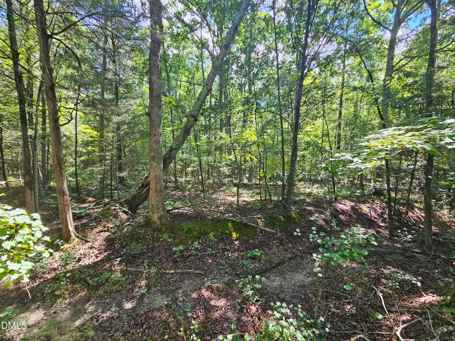 625 Harts Creek Drive, Pittsboro, NC 27312 - #3