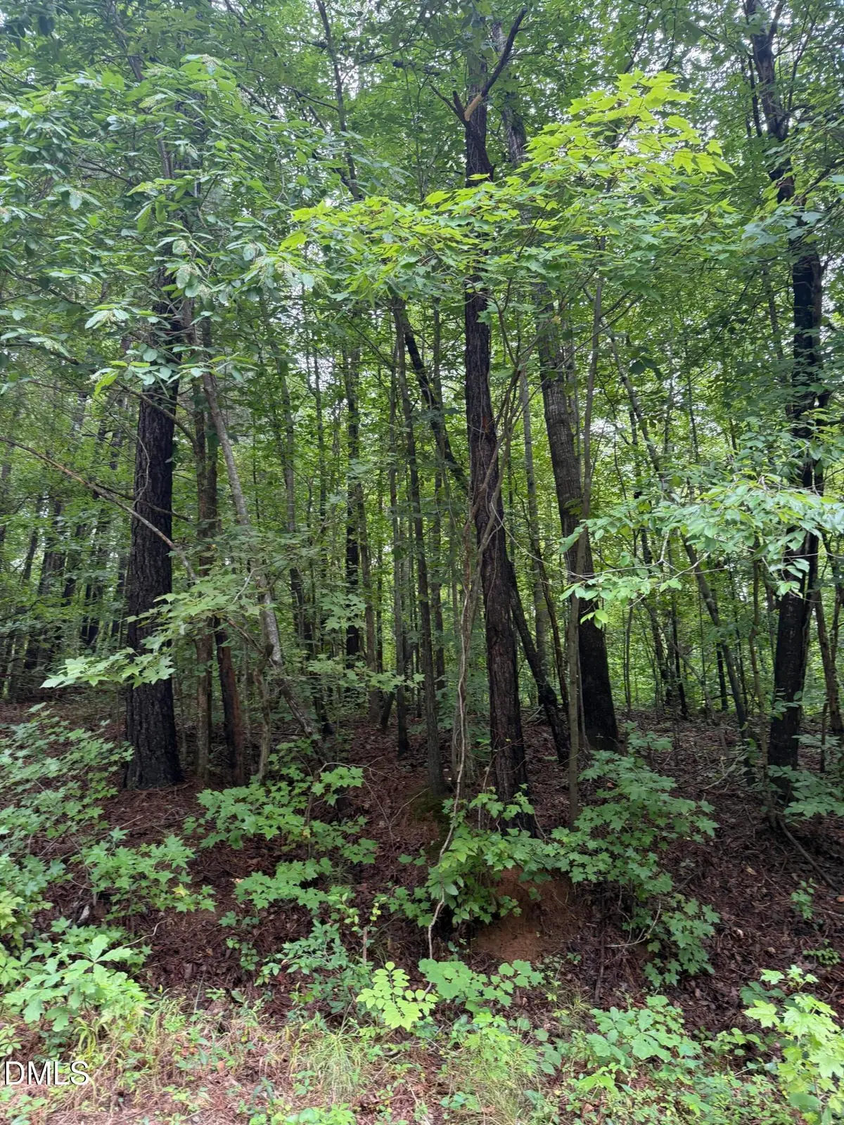Lot 12 Frazier Lane, Franklinton, NC 27525 - #1
