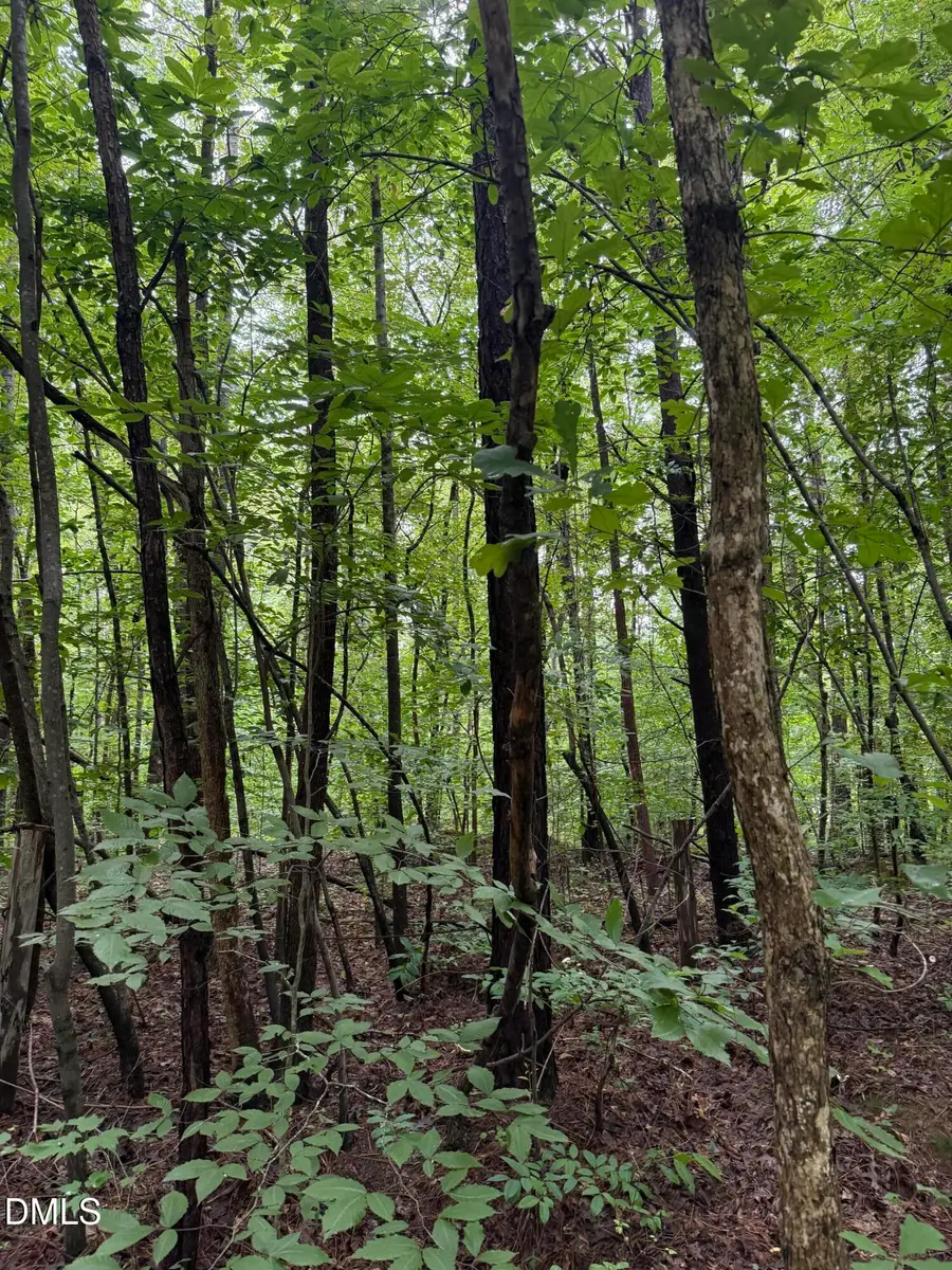 Lot 12 Frazier Lane, Franklinton, NC 27525 - #3