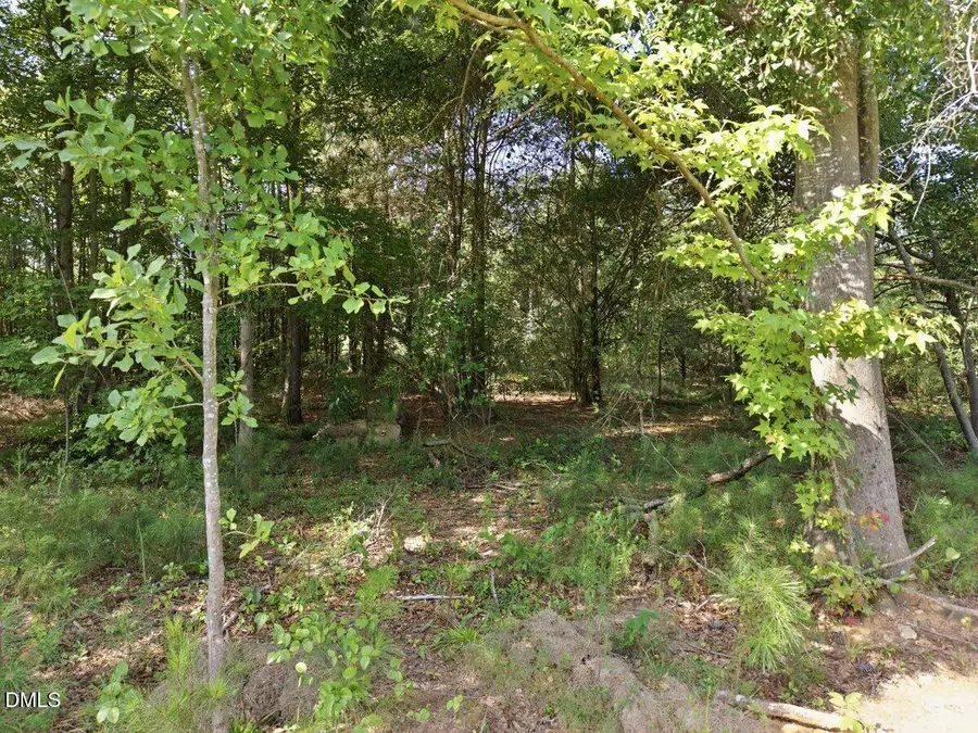331 Meadow Walk Drive, Fuquay Varina, NC 27526 - #2
