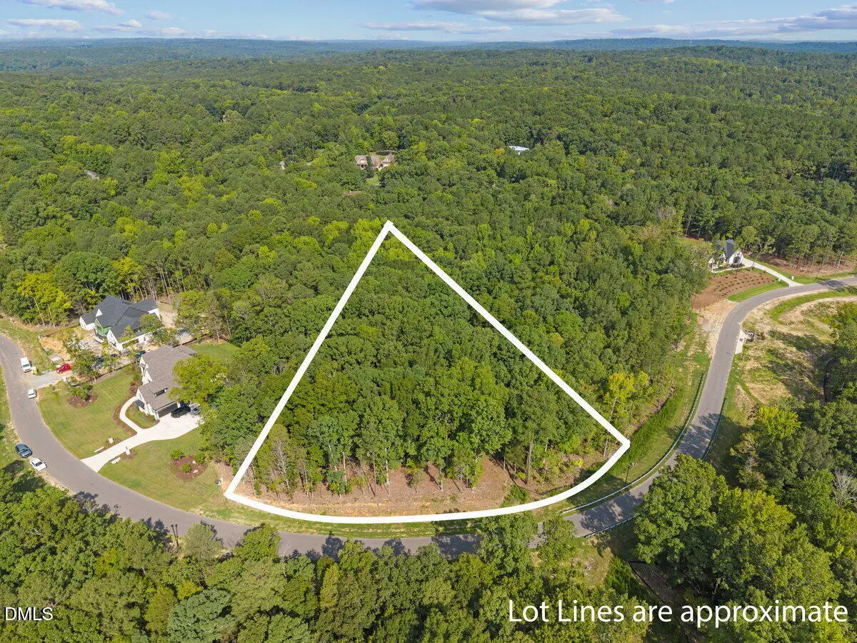 93 Firefly Overlook Road, Pittsboro, NC 27312 - #1