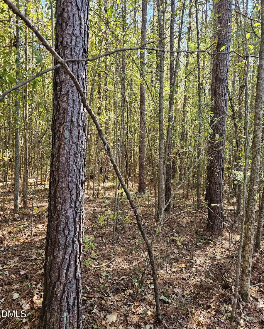850 Clarence Phillips Road, Bennett, NC 27208 - #2