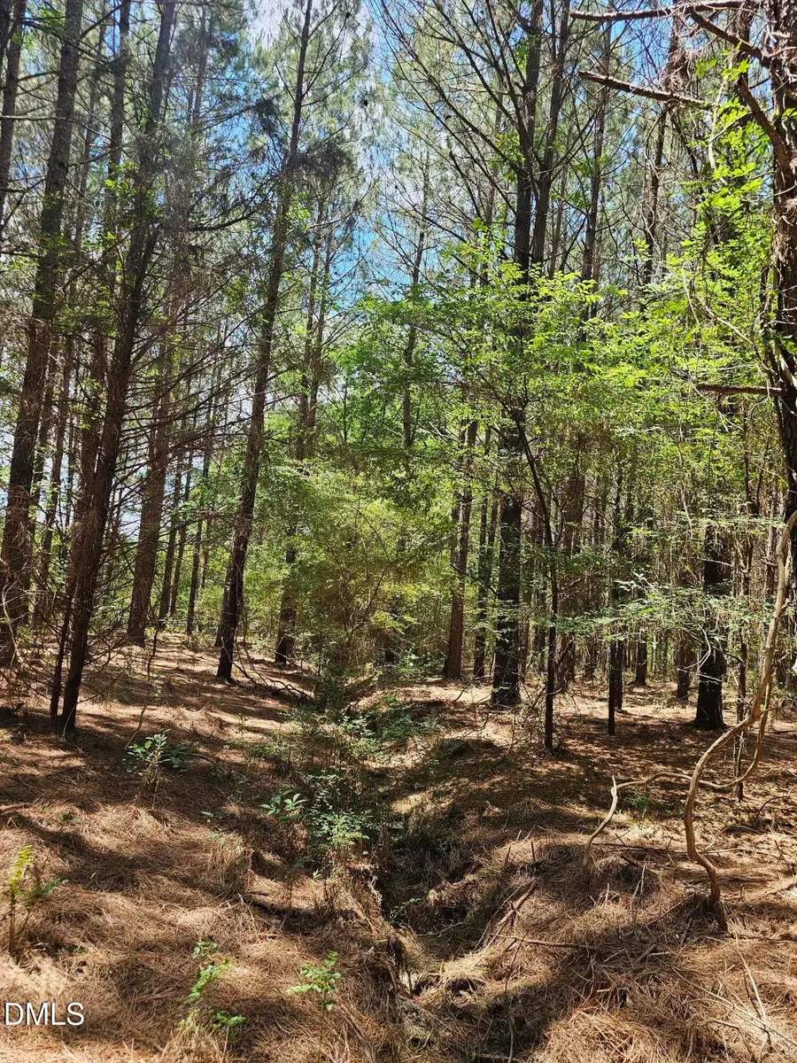 850 Clarence Phillips Road, Bennett, NC 27208 - #3