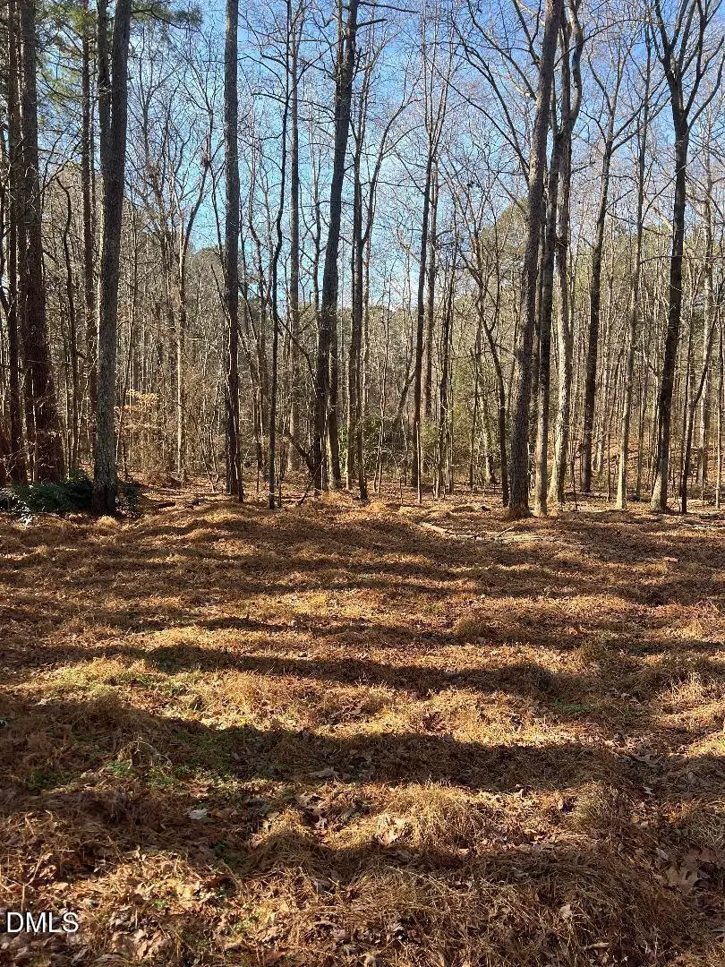 204 Fairhaven Street, Apex, NC 27539 - #2