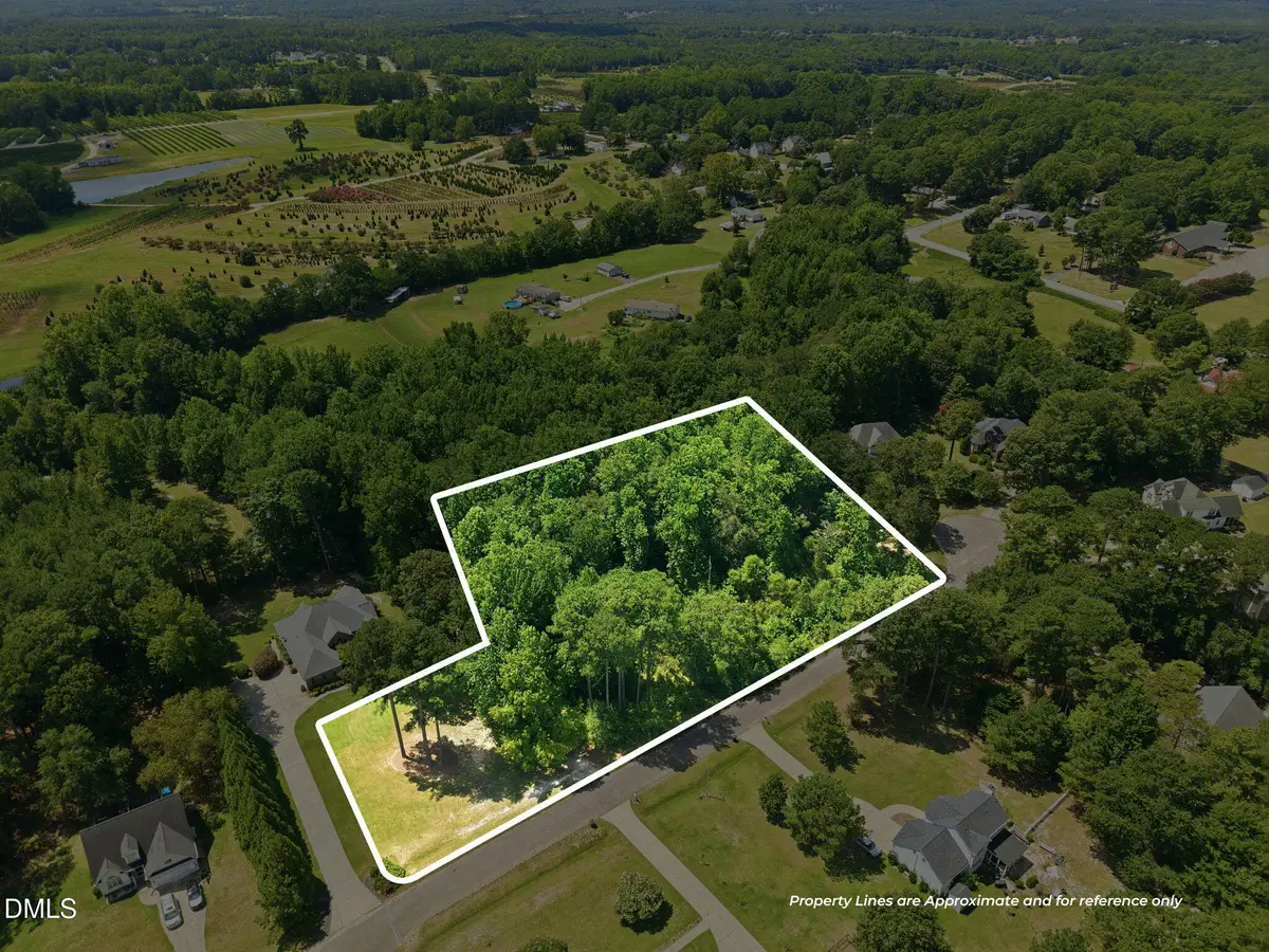205 Teresa Court, Angier, NC 27501 - #1