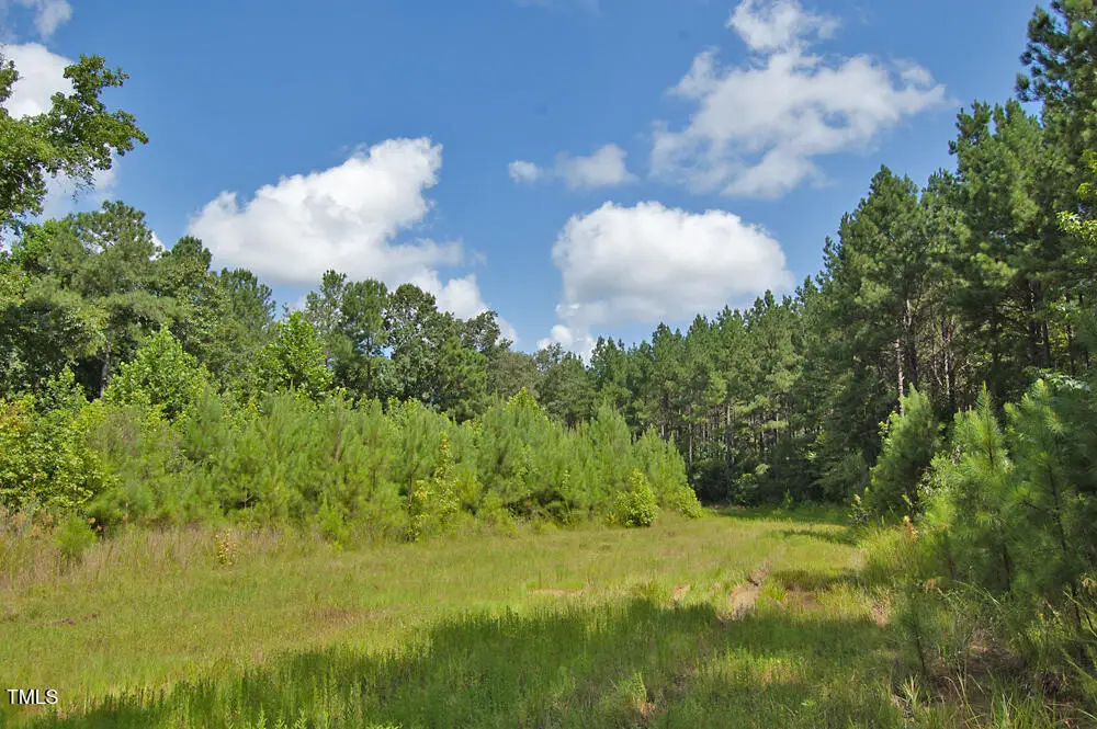 0 Buckhorn Road, Bullock, NC 27507 - #1