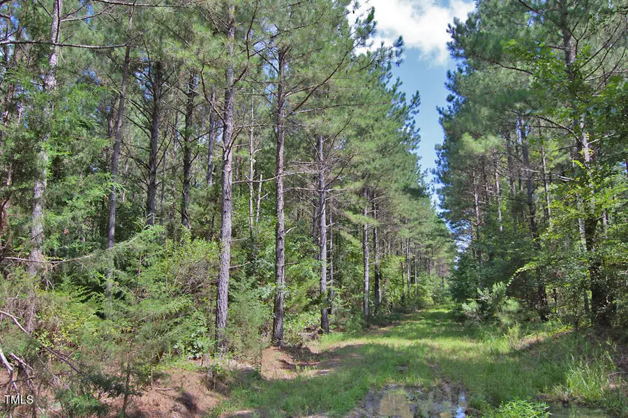 0 Buckhorn Road, Bullock, NC 27507 - #2