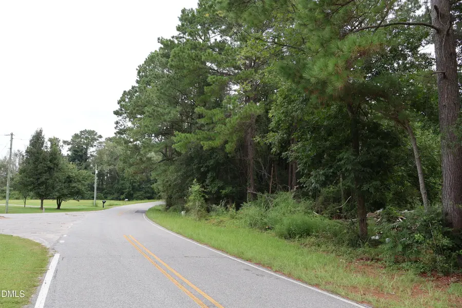 123 Holly Grove Road, Benson, NC 27504 - #2