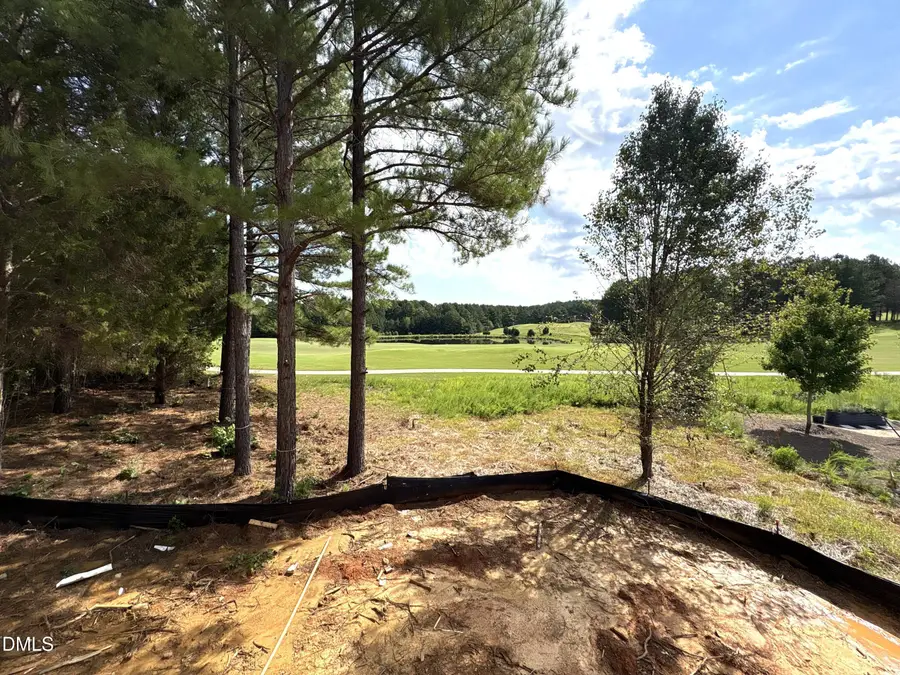 1267 Golfers View, Pittsboro, NC 27312 - #3