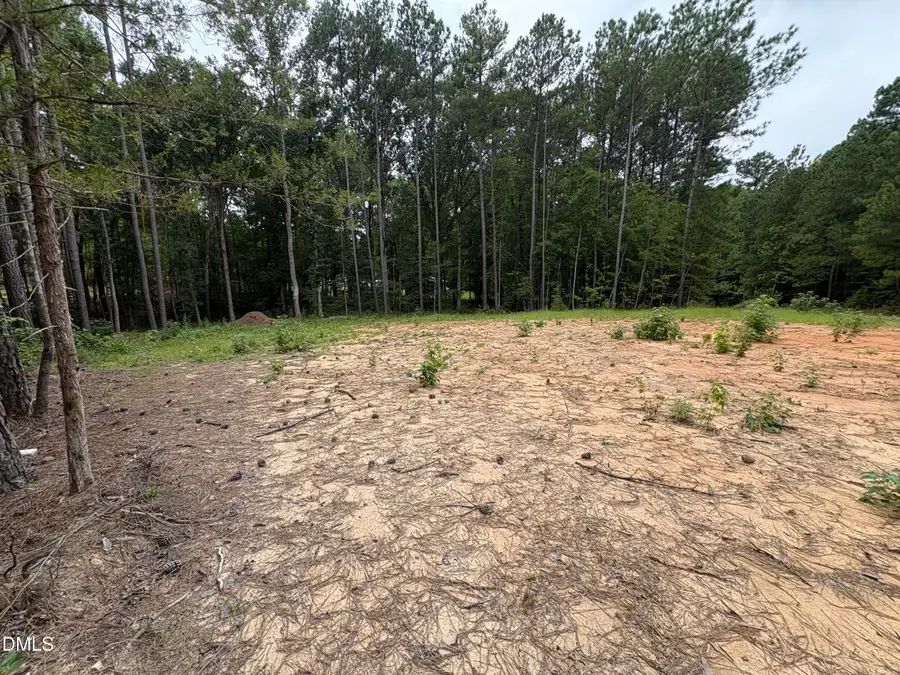 206 Rev Lewis Way, Henderson, NC 27537 - #3