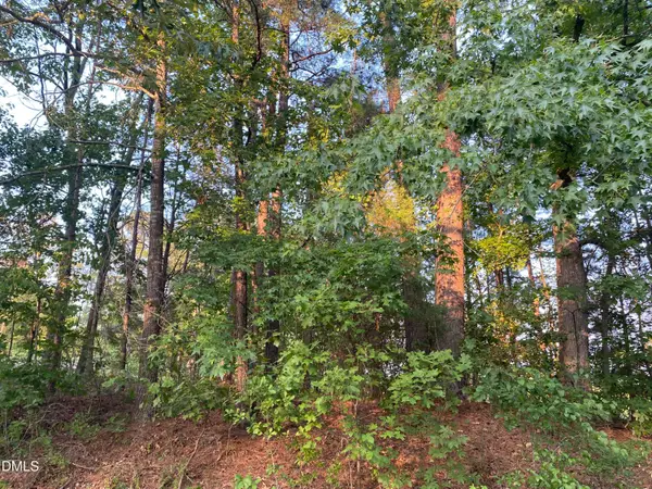 2417 Holiday Drive, Raleigh, NC 27610