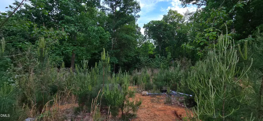 6530 Treetop Court, Snow Camp, NC 27349 - #2