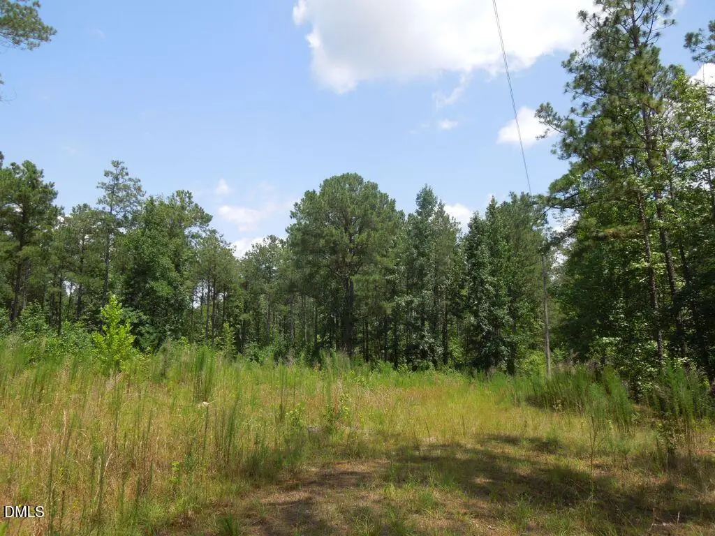2200 Darroch Road, Lillington, NC 27546 - #1