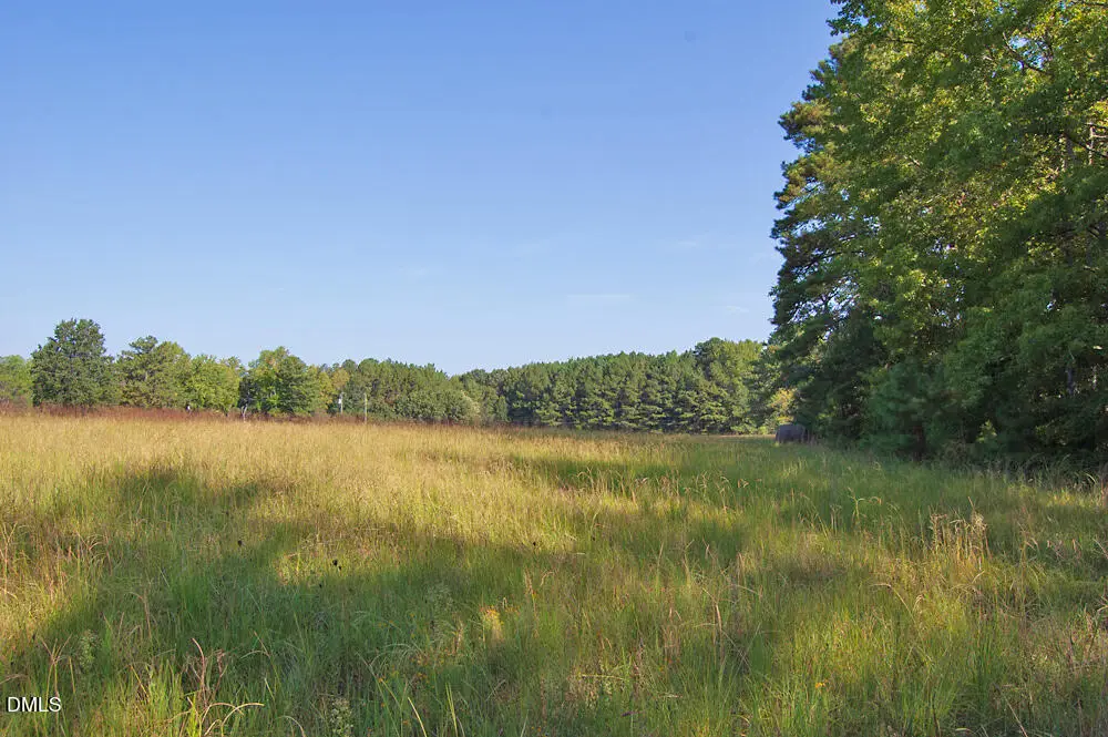 1738 Laurel Mill-centerville Road, Louisburg, NC 27549 - #1