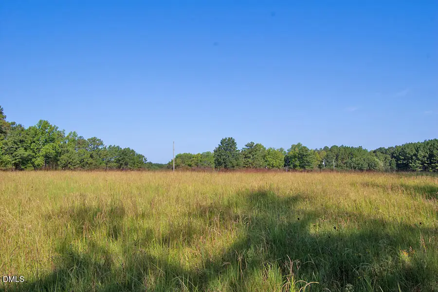 1738 Laurel Mill-centerville Road, Louisburg, NC 27549 - #3