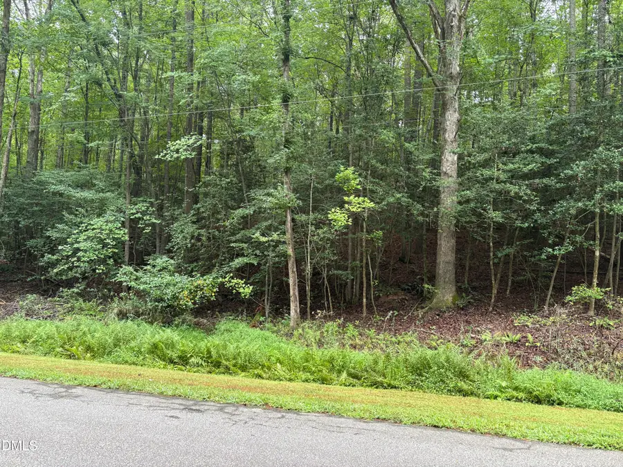 118 Souix Drive, Louisburg, NC 27549 - #2