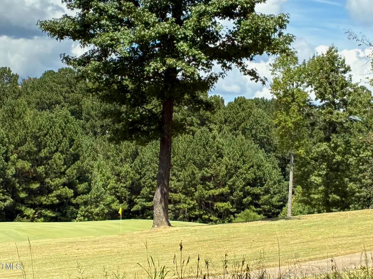 44 Sweet Meadow Lane, Pittsboro, NC 27312 - #1