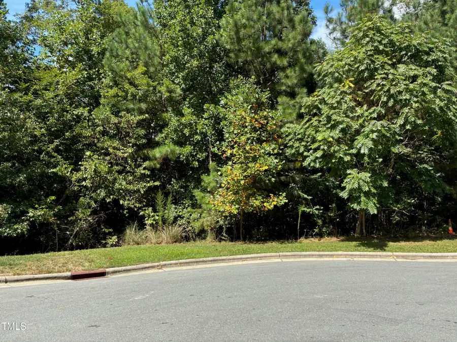 44 Sweet Meadow Lane, Pittsboro, NC 27312 - #2