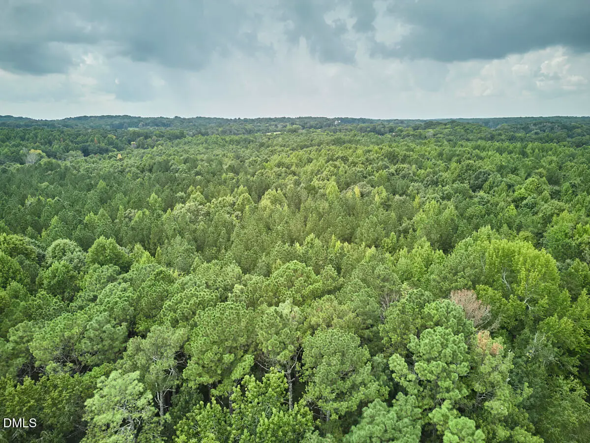 00 Beal Road, Robbins, NC 27325 - #1