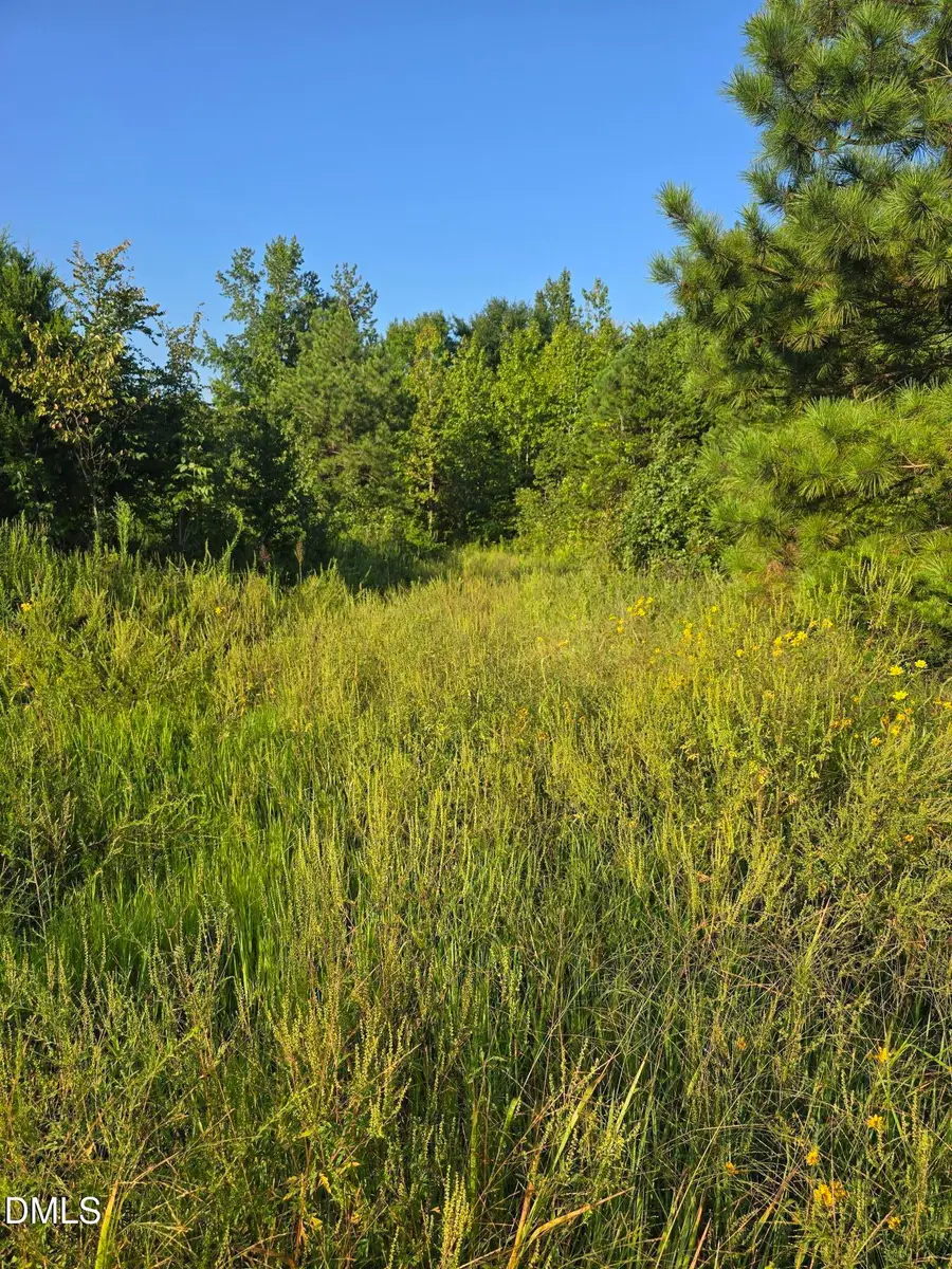 4955 Dailey Store Road, Burlington, NC 27217 - #2