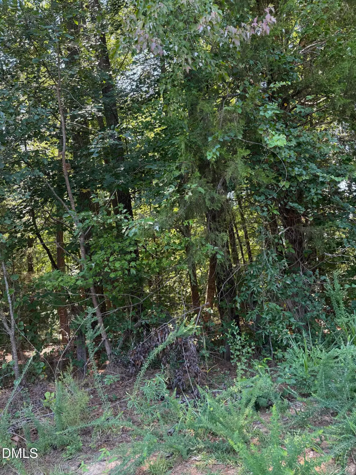 0 Williams Farm Road, Sanford, NC 27332 - #1