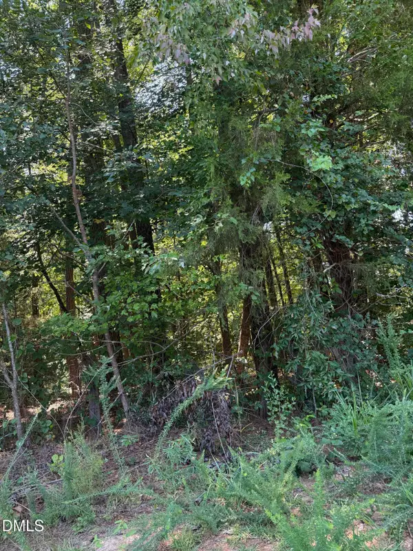 0 Williams Farm Road, Sanford, NC 27332