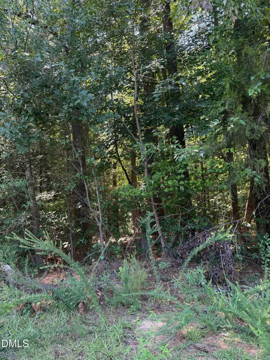 0 Williams Farm Road, Sanford, NC 27332 - #3