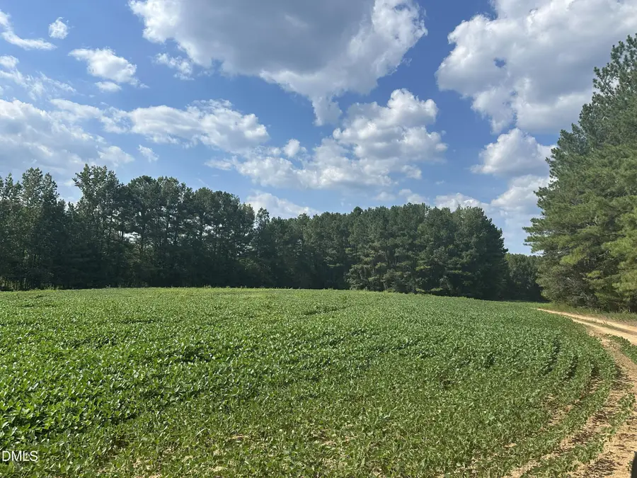 6056 Hobgood Road, Rougemont, NC 27572 - #2