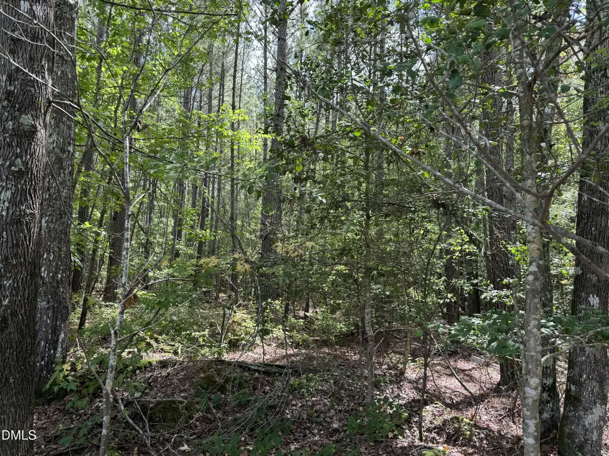 0 New Elam Church Road, Moncure, NC 27559 - #1