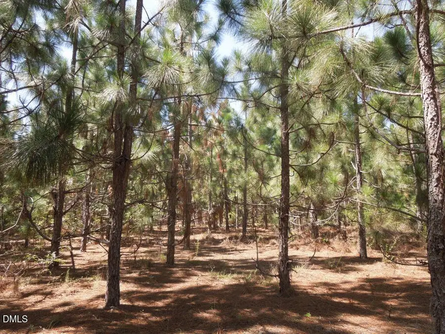 Tbd Hwy 24 And Marks Rd, Cameron, NC 28326 - #3