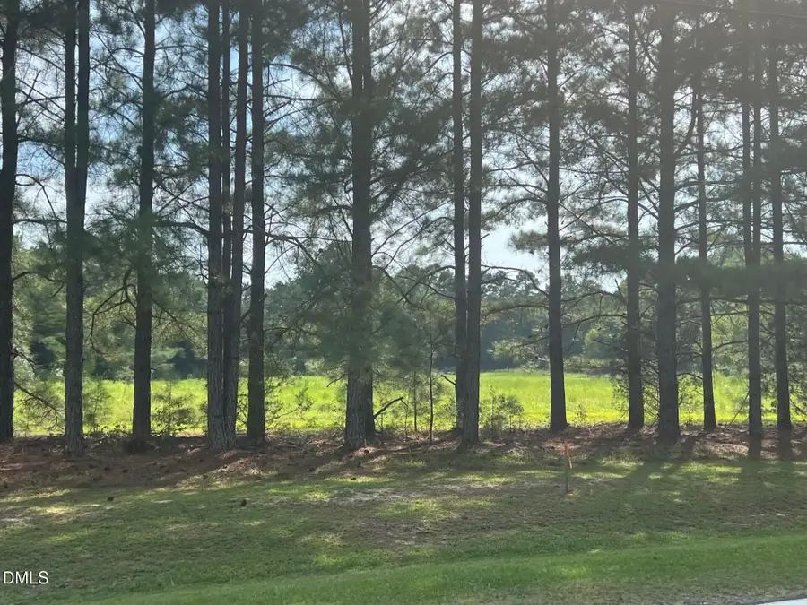 3405 Matthews Mill Pond, Angier, NC 27501 - #2