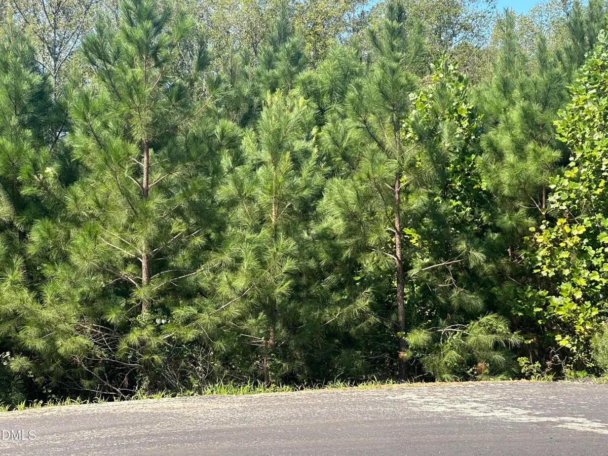 Lot 15 0 W Old Spring Hope Rd, Spring Hope, NC 27882 - #1